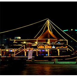 LED Neon light strip installation display 